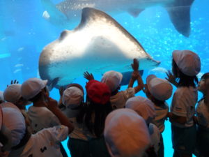 âæµ·éé¤¨6.17-3